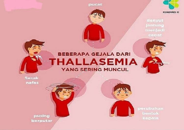 Kemenkes: Talasemia Penyakit Keturunan, Hindari dengan Deteksi Dini