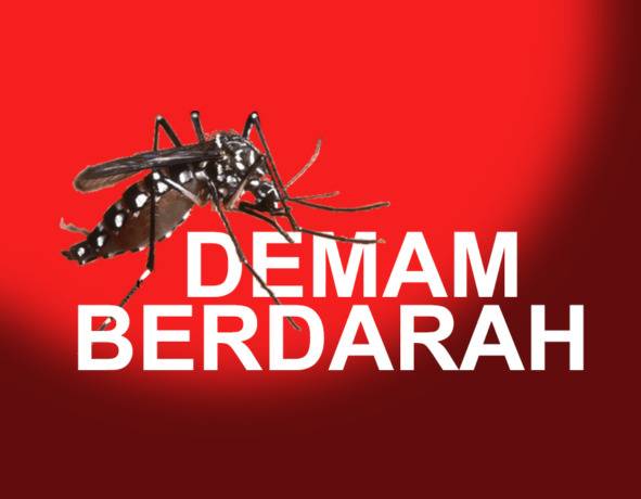 Sejak Awal Tahun 2022, Terdata 332 Kasus Demam Berdarah Dengue di Pekanbaru