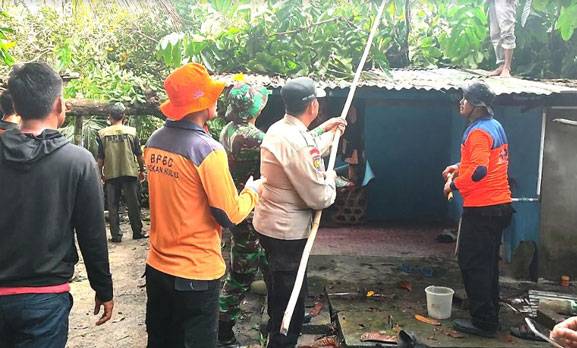 Puluhan Pohon Tumbang, 38 Rumah dan Fasilitas Umum di Rohul Rusak Diterjang Angin Puting Beliung