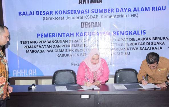 Bupati Kasmarni Tandatangani Kerjasama Dengan Kepala BBKSDA Riau