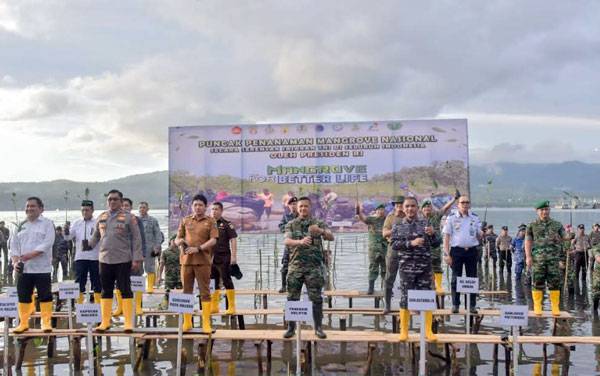 Peduli Pelestarian Biota Laut, Danlantamal IX Sukseskan "Mangrove For Better Life" yang Dipimpin Presiden Jokowi