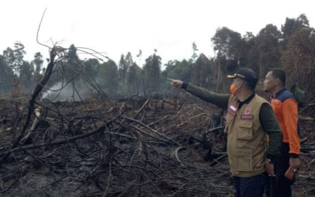 Nekat Bakar Lahan, Dua Pria di Rohil Diamankan Polisi