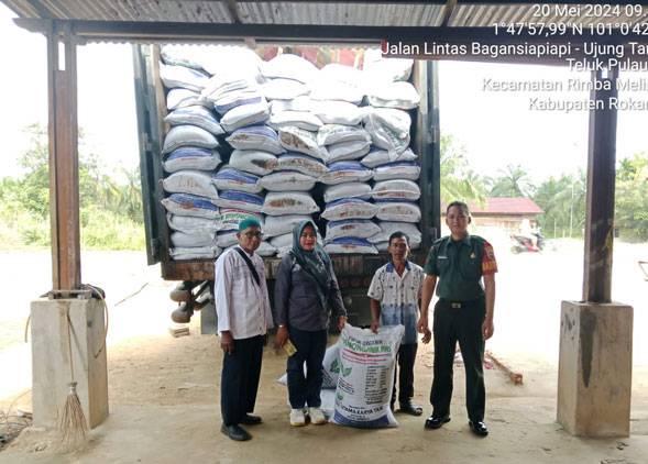 Babinsa 0321-05/ RM Kawal Bantuan Pupuk Korem 031/WB untuk Petani Jumrah Rimba Melintang