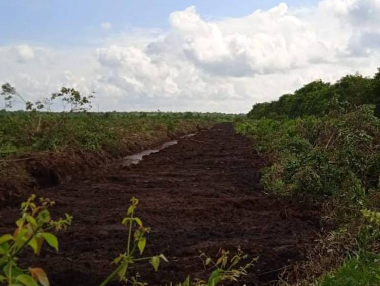 Masih Beraktivitas, Sejumlah Warga Abaikan Kesepakatan Tapal Batas Kecamatan Batang Tuaka dan GAS