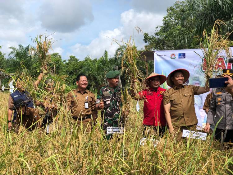 Pemko Pekanbaru Maksimalkan Lahan Tidur