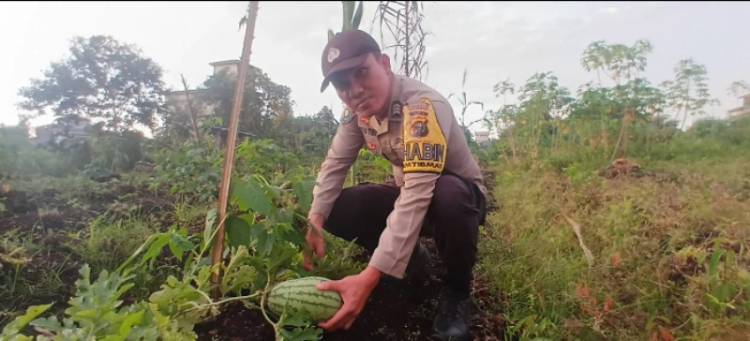 Polri Hadir Dukung Swasembada Pangan di Teluk Meranti