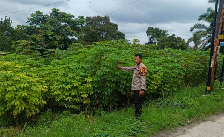 Bhabinkamtibmas Kelurahan Tanah Datar Aktif Dorong Pemanfaatan Pekarangan Hijau untuk Ketahanan Pangan Keluarga