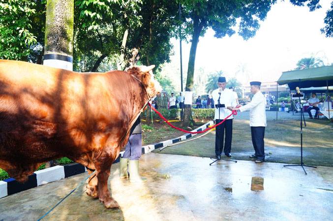 Mabes TNI Gelar Sholat Idul Adha 1447 H dan Penyembelihan Hewan Kurban di Cilangkap
