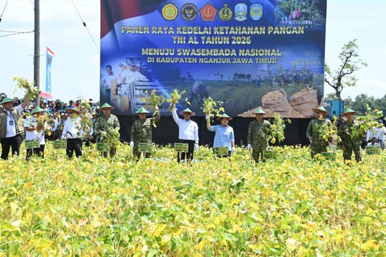 Panglima TNI Bersama Menteri Pertanian Laksanakan Panen Raya Kedelai Ketahanan Pangan TNI AL di Nganjuk