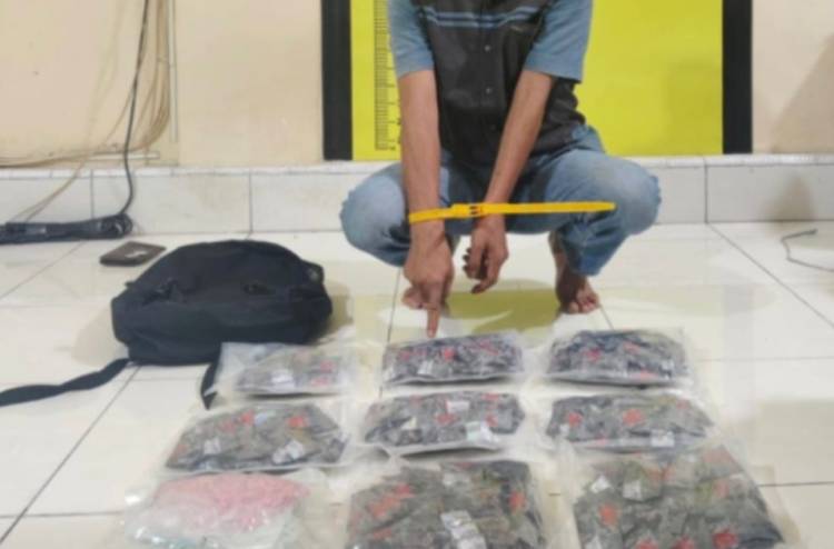Penangkapan di Perbatasan Pekanbaru-Pelalawan, Polda Riau Sita 9 Bungkus Besar Narkotika