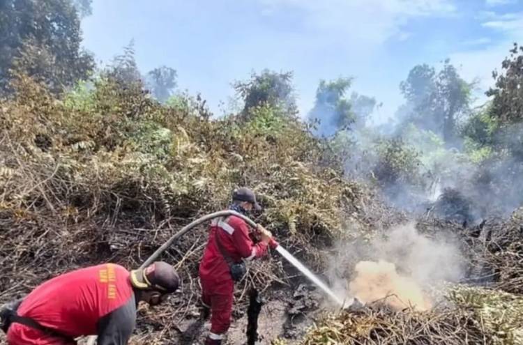 Pekanbaru Tetapkan Status Siaga Darurat Bencana Karhutla
