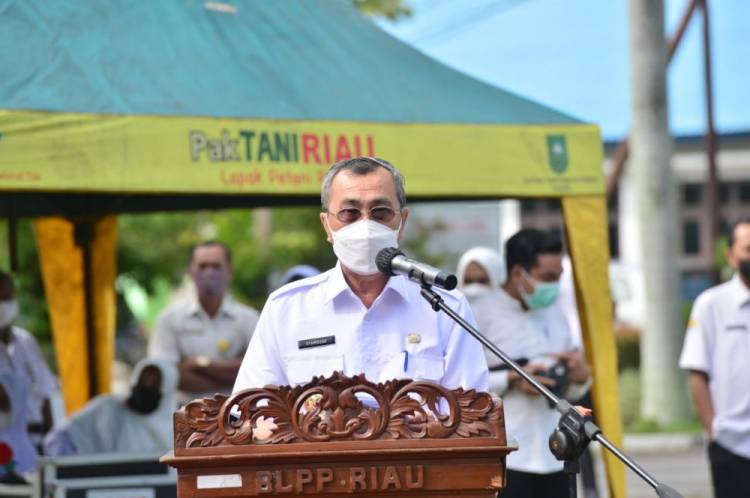 Gubernur Riau Syamsuar Ajak Komponen Masyarakat Lakukan Gerakan Pemanfaatan Lahan Tidur