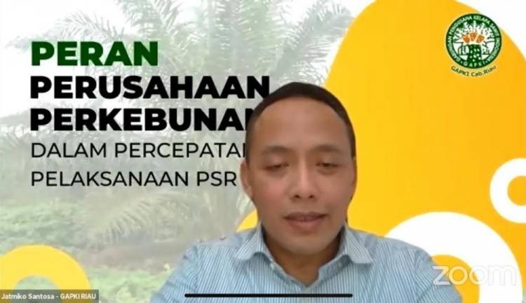Pemerintah Gandeng Gapki Riau Akselerasi Peremajaan Sawit Rakyat