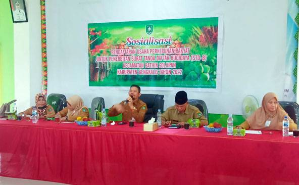 Himpun Data Lahan, Disbun Bengkalis Sosialisasi STD-B di Kecamatan Bathin Solapan