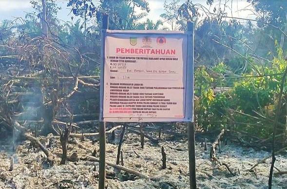Karhutla Kembali Membara di Rohul, 7,7 hektare Lahan Terbakar