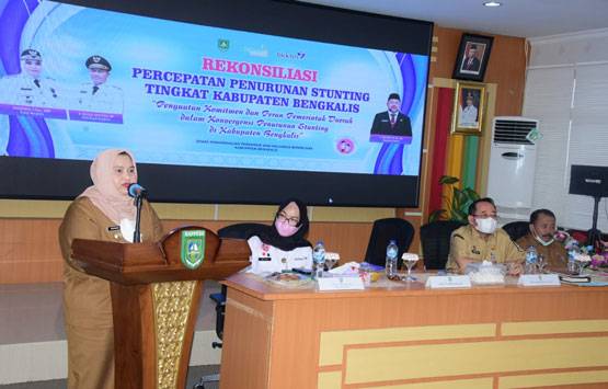 Percepat Penurunan Angka Stunting di Bengkalis, Bupati Kasmarni Libatkan Seluruh Stakeholder