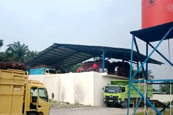 Petani Pemasok TBS Keluhkan Pungli oleh Petugas Ram PKS PT KAP Tapung