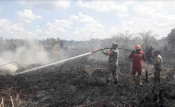 Petugas Gabungan Padamkan Kebakaran Lahan di Bonai Darussalam Rohul