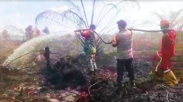 Cuaca Ekstrem, Karhutla Rohul Kian Meluas, Petugas Gabungan Berjibaku Lakukan Pemadaman