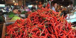 Pedas, Harga Cabai di Pekanbaru Tembus Rp85.000 Perkilogram
