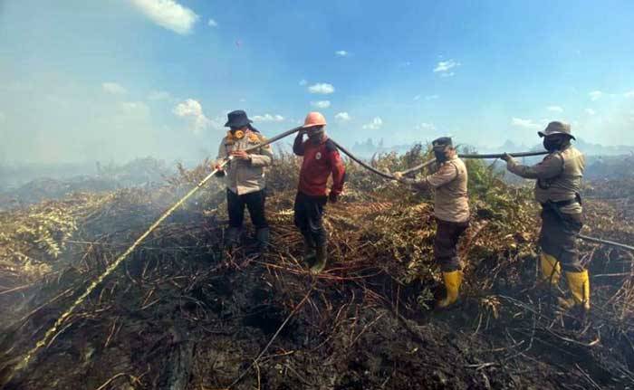 Karhutla 20 Hektar Lahan Gambut Kedalaman 10 Meter di Rohul Berhasil Dipadamkan