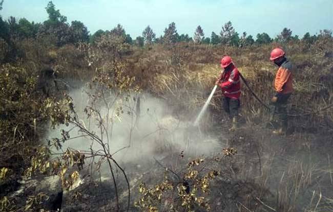 Kebakaran Lahan di Air Hitam Pekanbaru Dipastikan Padam