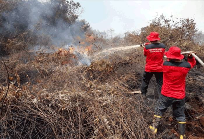 Tercatat 694 Hotspot, Satgas Karhutla Riau Padamkan 476 Ha Karhutla