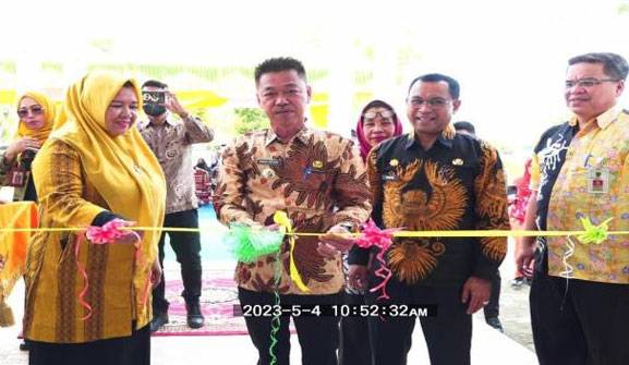 Bupati Afrizal Sintong Resmikan UPT Instalasi Farmasi Dinas Kesehatan Rohil