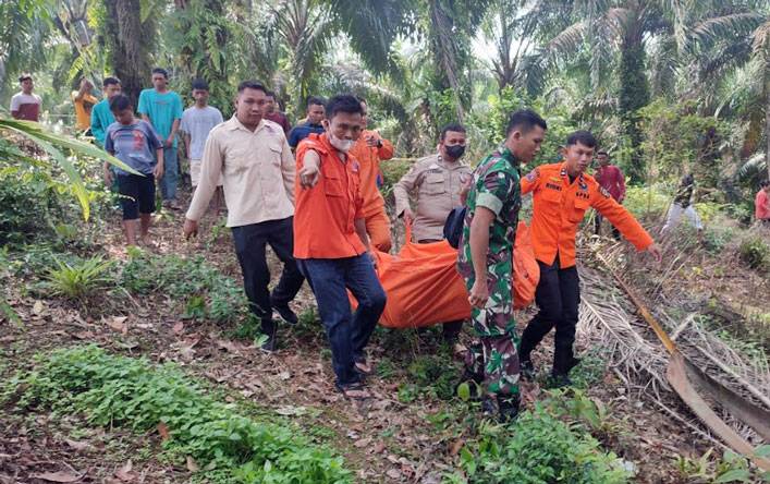 Geger! Penemuan Mayat Pria di Kebun Kelapa Sawit Kabupaten Rokan Hulu, Riau