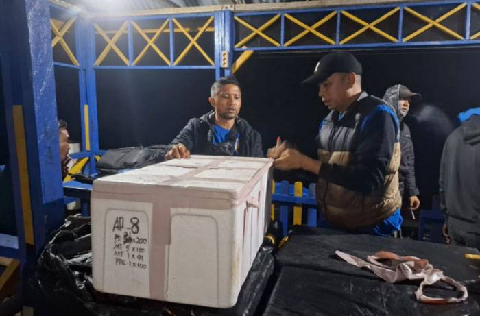 Penyelundupan 102.820 Ekor Baby Lobster Senilai Rp20 Miliar Digagalkan