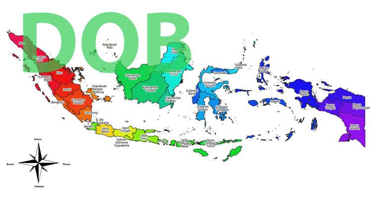 300 Daerah Ajukan DOB, Jokowi Tegaskan Tak Ada Pemekaran