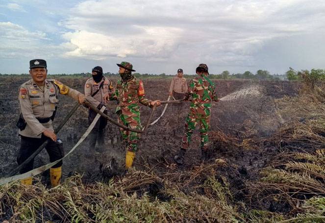 12 Kabupaten dan Kota di Riau Resmi Tetapkan Status Darurat Karhutla