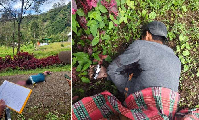 OPM Kembali Tembak 2 Warga Sipil Pekerja Bangunan Gereja
