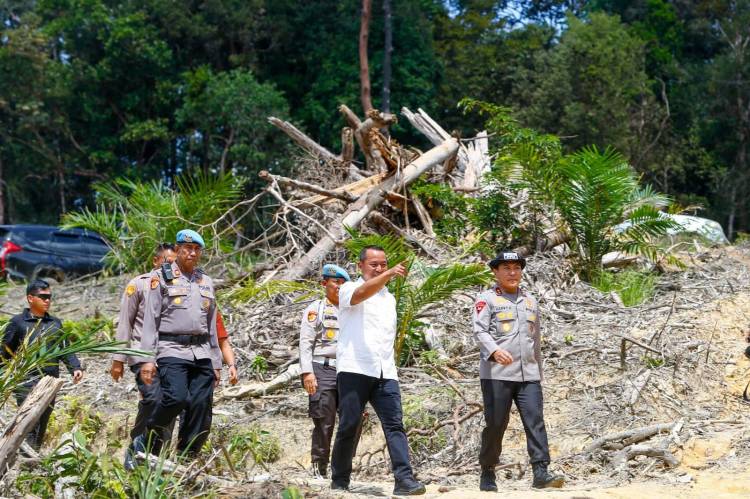 Diklaim Tanah Ulayat, Praktik Bagi Hasil Lahan Hutan Lindung di Kampar Terungkap
