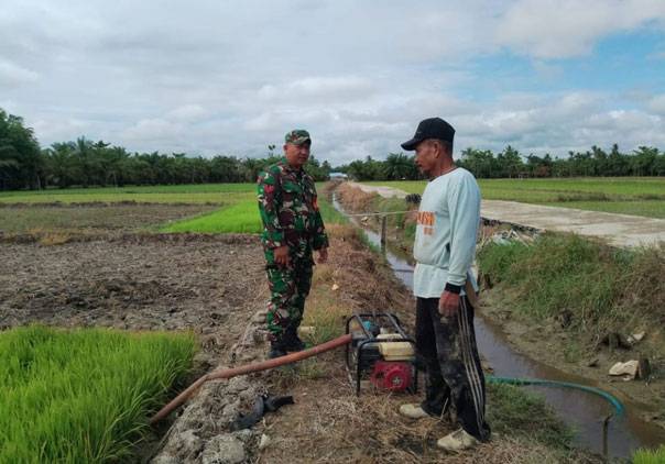 Babinsa 05/RM Bantu Petani Mengairi Sawah di Kepenghuluan Teluk Pulau Hulu