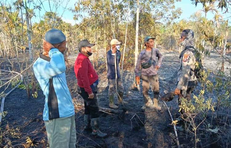 Hanguskan Ratusan Hektare Lahan, Pelaku Karhutla di Bengkalis Ditangkap