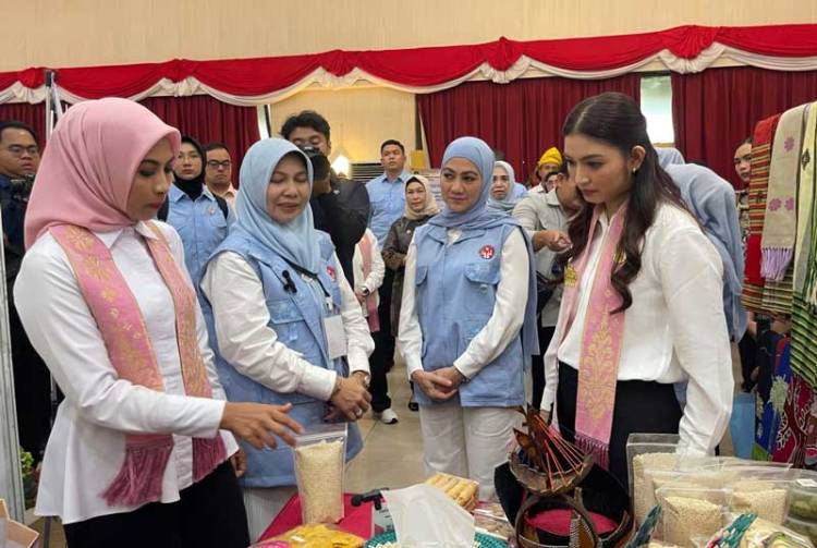 Ketua Dekranasda Inhil Sambut Kunjungan Ketua Dekranas RI dan Ibu-Ibu Seruni