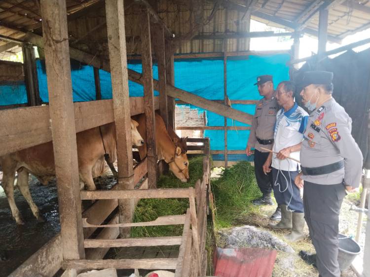 Dukung Swasembada Pangan, Personil KSKP Polres Inhil Beri Penyuluhan dan Kiat Sukses ke Peternak Sapi