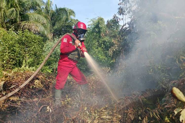 Api Masih Menyala di Tanjung Kapal, Alat Berat Dikerahkan