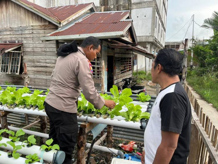 Polsek Kateman Dampingi Petani Tagaraja Rawat Tanaman Sawi Dukung Ketahanan Pangan