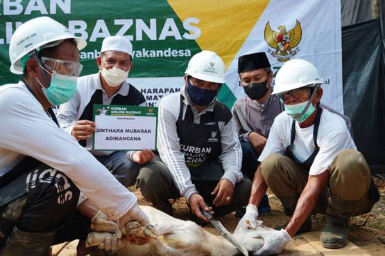 Tahun ini Baznas Kabupaten Siak Salurkan Hewan Qurban Sebanyak 5 Sapi dan 84 Kambing