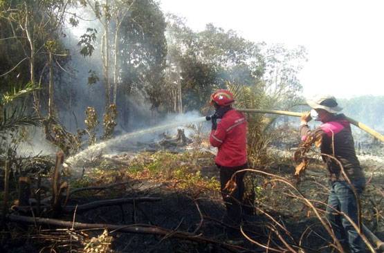 RPK Arara Abadi-APP Sinar Mas Bantu Padamkan Karhutla di Bunut dan Teluk Meranti