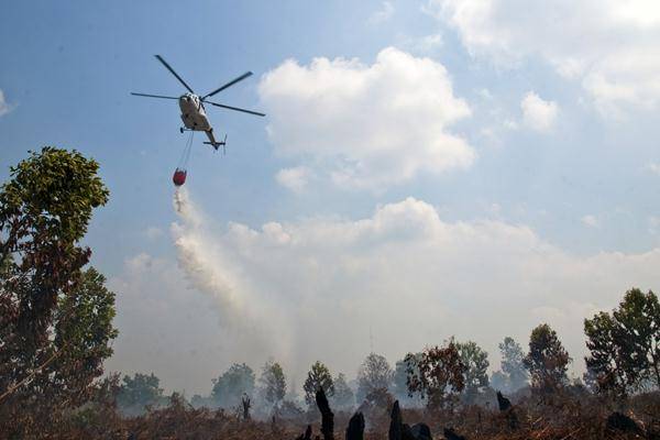 Satgas Karhutla Riau Berhasil Atasi Kebakaran di Taman Nasional Bukit Tigapuluh