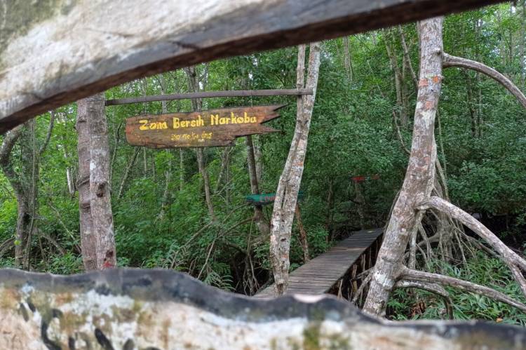 Ini Kondisi Ekowisata Mangrove Sungai Bersejarah di Masa Pandemi