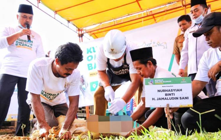 Baznas Pusat Salurkan 100 Ekor Domba untuk Kurban di Kabupaten Siak