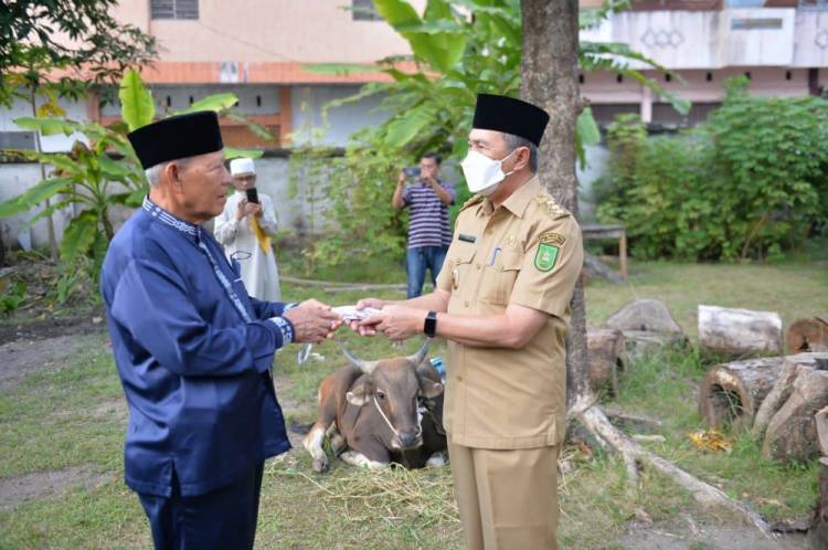 Gubernur Syamsuar Serahkan Sapi Kurban Untuk PWRI RIAU