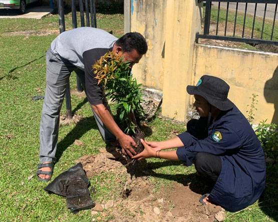 Tim Kukerta Unri Laksanakan Penghijauan di Lapangan Sepak Bola Desa Gema