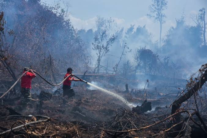 Padamkan Karhutla di Tiga Daerah, BPBD Riau Kerahkan Helikopter Water Boombing