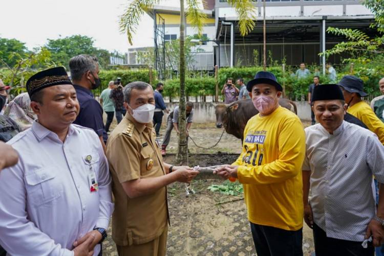 Gubernur Riau Syamsuar Hadiri Pemotongan Hewan Kurban oleh PWI Riau