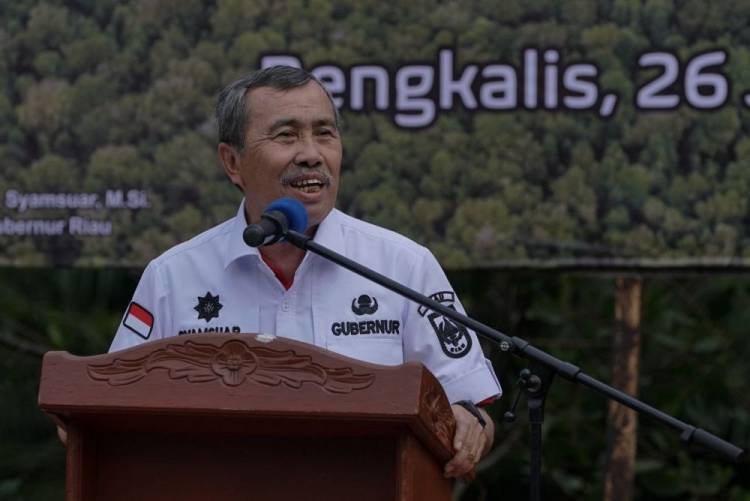 Penanaman 200 Ribu Bibit Mangrove, Gubernur: Komitmen Riau Merehabilitasi Ekosistem